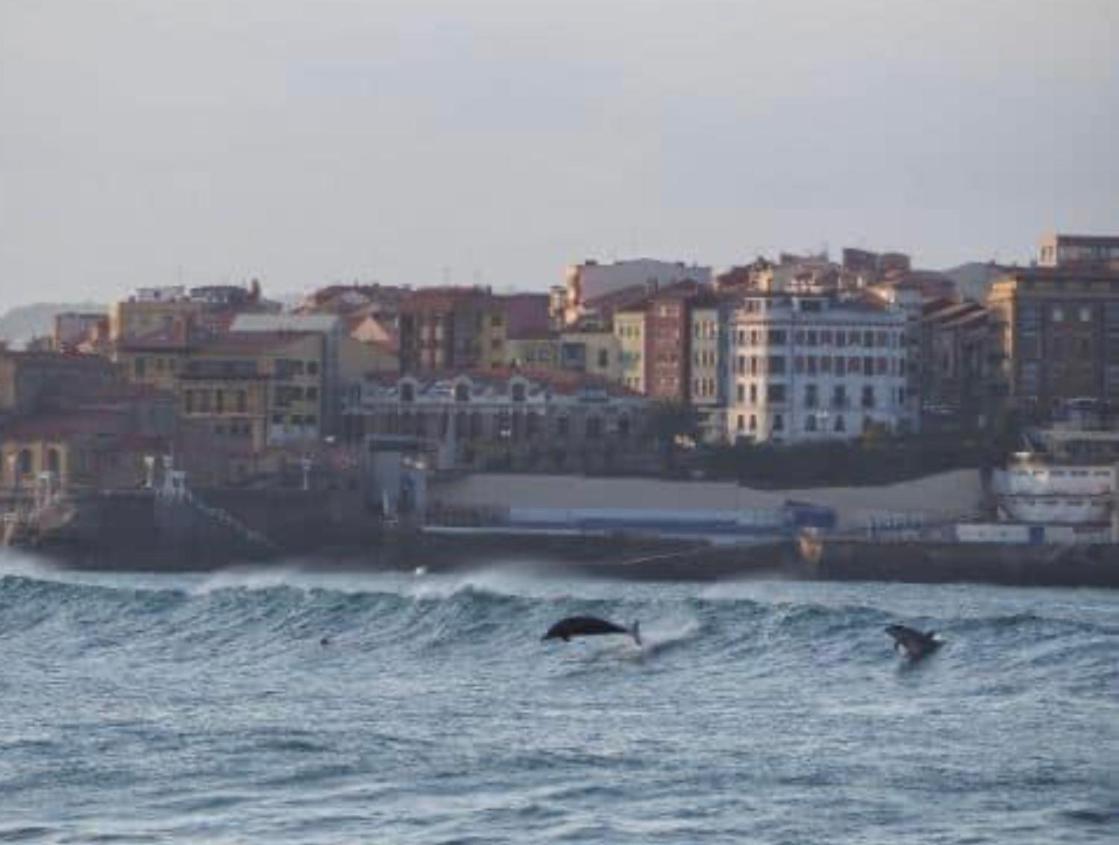 Alojamientos Muelle De Gijón Extérieur photo